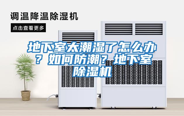 地下室太潮濕了怎么辦？如何防潮？地下室除濕機