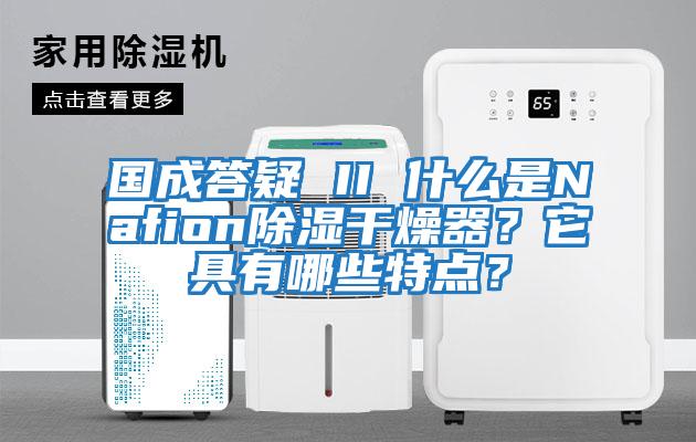 國成答疑 II 什么是Nafion除濕干燥器？它具有哪些特點？