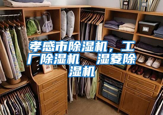 孝感市除濕機，工廠除濕機  濕菱除濕機