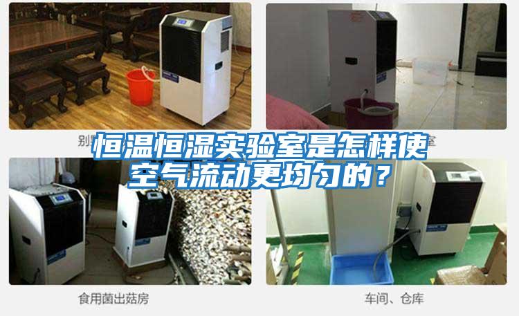 恒溫恒濕實(shí)驗(yàn)室是怎樣使空氣流動更均勻的？