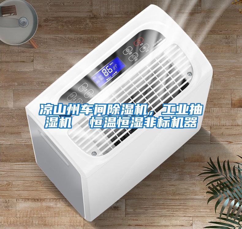 涼山州車間除濕機，工業抽濕機  恒溫恒濕非標機器