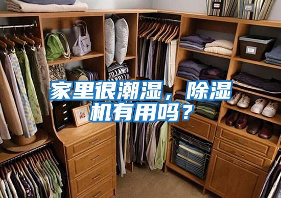 家里很潮濕，除濕機(jī)有用嗎？