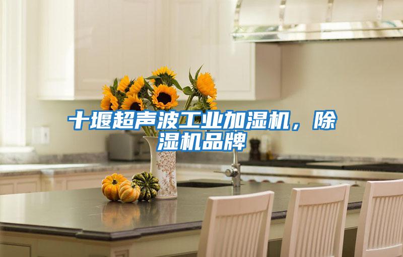 十堰超聲波工業(yè)加濕機(jī),除濕機(jī)品牌
