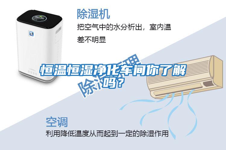 恒溫恒濕凈化車間你了解嗎？
