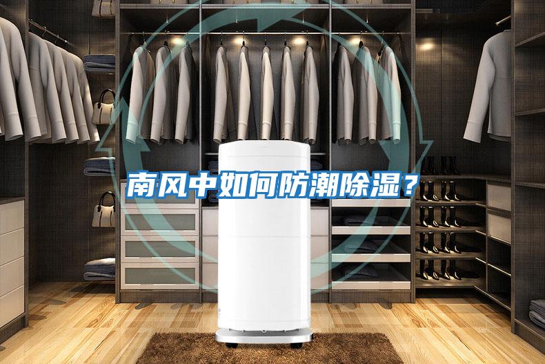 南風(fēng)中如何防潮除濕?