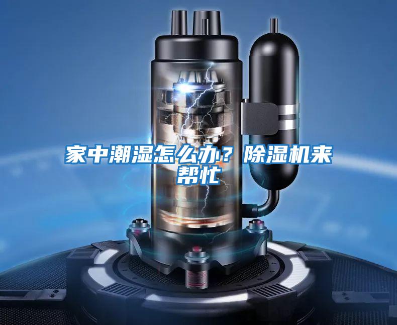 家中潮濕怎么辦？除濕機來幫忙