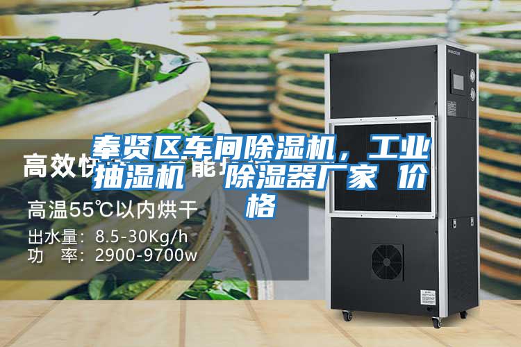 奉賢區(qū)車(chē)間除濕機(jī)，工業(yè)抽濕機(jī)  除濕器廠家 價(jià)格