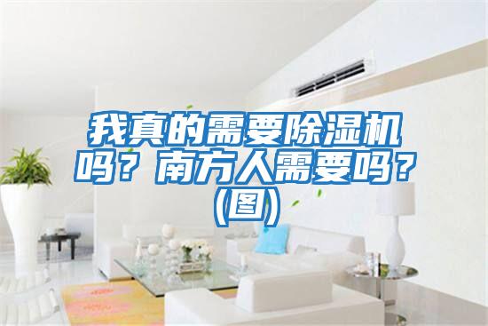 我真的需要除濕機嗎？南方人需要嗎？(圖)