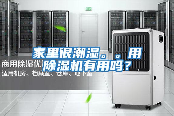 家里很潮濕。。用除濕機(jī)有用嗎？