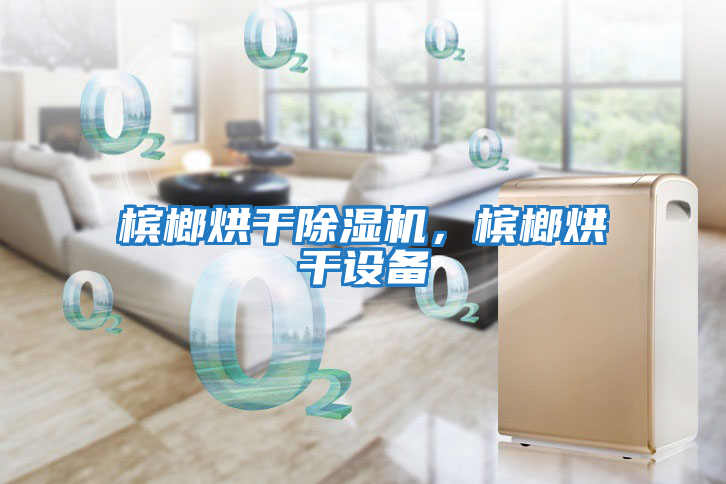 檳榔烘干除濕機，檳榔烘干設備