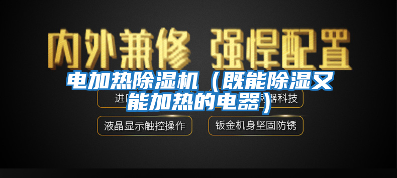 電加熱除濕機(既能除濕又能加熱的電器)