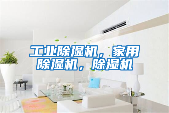 工業(yè)除濕機,家用除濕機,除濕機