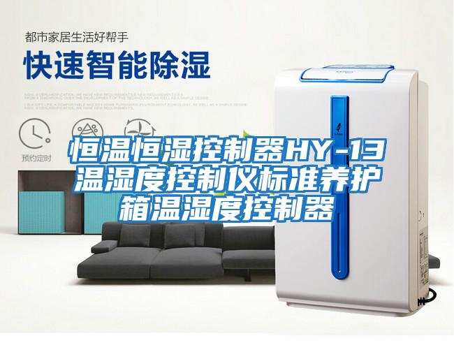 恒溫恒濕控制器HY-13溫濕度控制儀標準養(yǎng)護箱溫濕度控制器