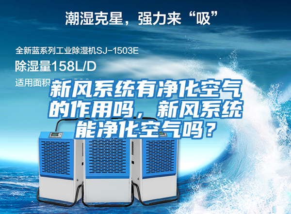 新風(fēng)系統(tǒng)有凈化空氣的作用嗎，新風(fēng)系統(tǒng)能凈化空氣嗎？