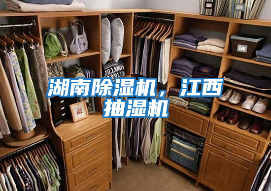 湖南除濕機，江西抽濕機