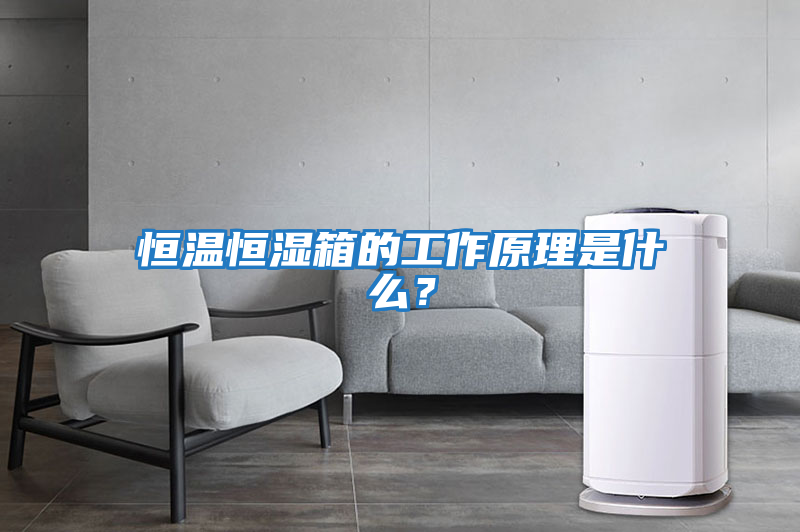 恒溫恒濕箱的工作原理是什么？