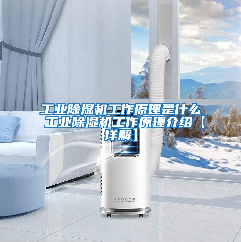 工業除濕機工作原理是什么 工業除濕機工作原理介紹【詳解】