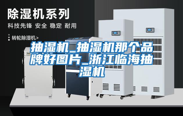 抽濕機(jī)_抽濕機(jī)那個品牌好圖片_浙江臨海抽濕機(jī)