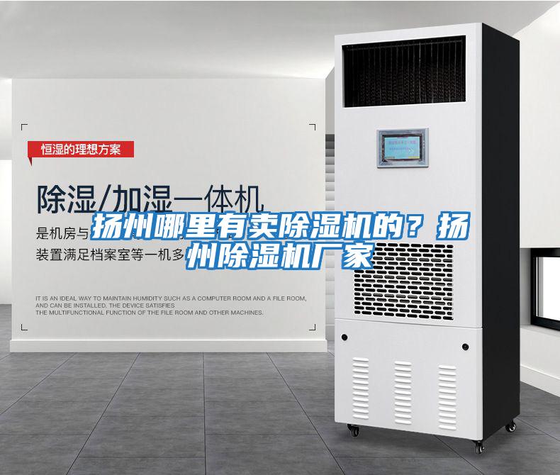 揚州哪里有賣除濕機(jī)的？揚州除濕機(jī)廠家