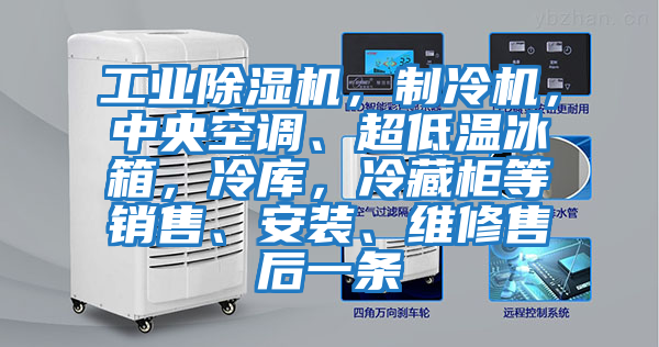 工業除濕機，制冷機，中央空調、超低溫冰箱，冷庫，冷藏柜等銷售、安裝、維修售后一條