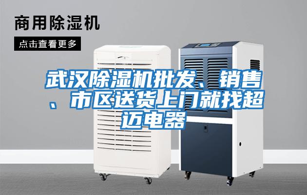 武漢除濕機批發、銷售、市區送貨上門就找超邁電器