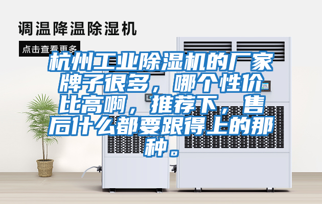 杭州工業(yè)除濕機的廠家牌子很多,哪個性價比高啊,推薦下,售后什么都要跟得上的那種。