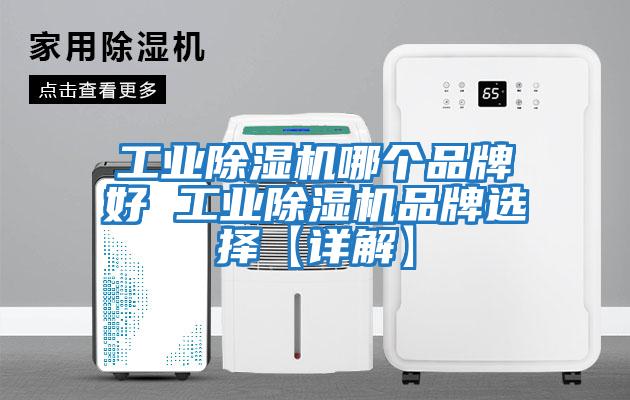 工業除濕機哪個品牌好 工業除濕機品牌選擇【詳解】