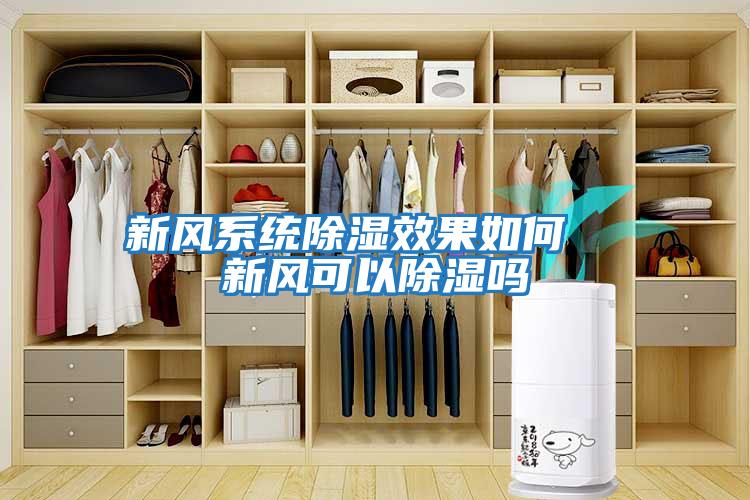 新風(fēng)系統(tǒng)除濕效果如何 新風(fēng)可以除濕嗎