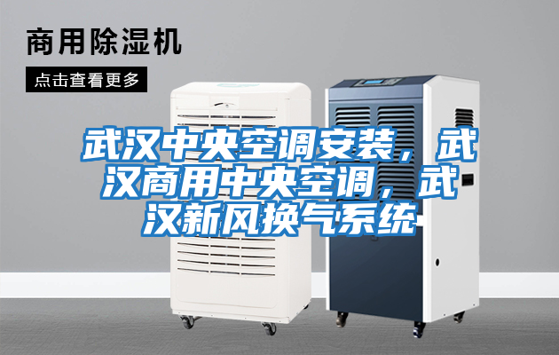 武漢中央空調安裝，武漢商用中央空調，武漢新風換氣系統