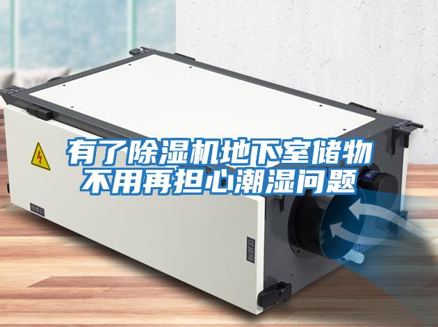 有了除濕機(jī)地下室儲(chǔ)物不用再擔(dān)心潮濕問題