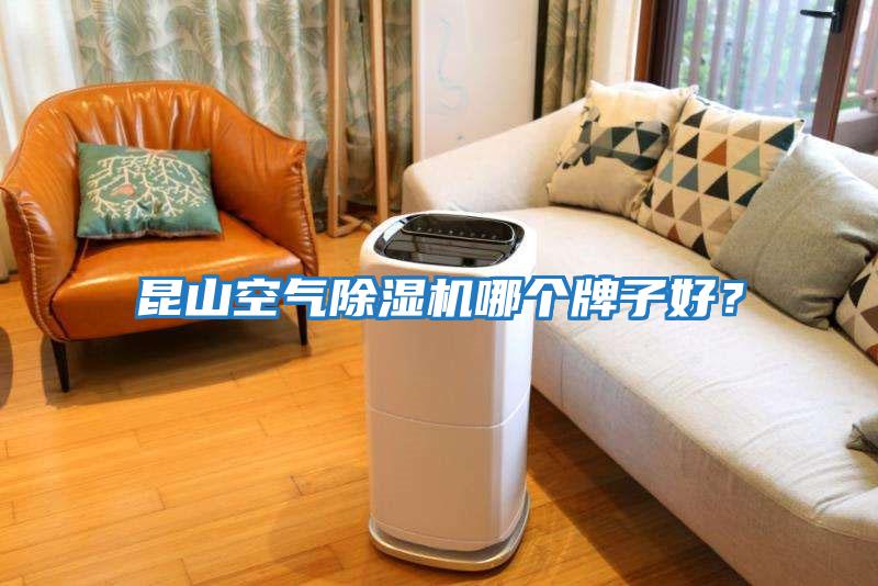 昆山空氣除濕機(jī)哪個(gè)牌子好?