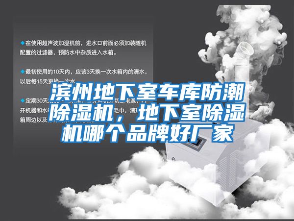 濱州地下室車庫防潮除濕機(jī)，地下室除濕機(jī)哪個品牌好廠家