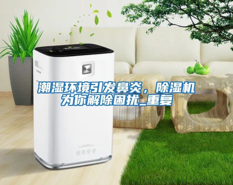 潮濕環境引發鼻炎，除濕機為你解除困擾_重復