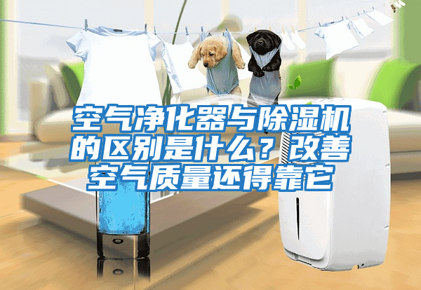 空氣凈化器與除濕機的區別是什么?改善空氣質量還得靠它