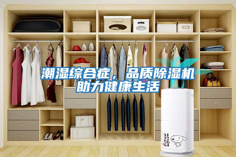 潮濕綜合癥，品質(zhì)除濕機助力健康生活