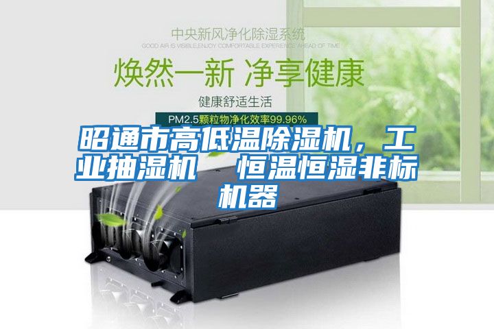 昭通市高低溫除濕機，工業抽濕機  恒溫恒濕非標機器