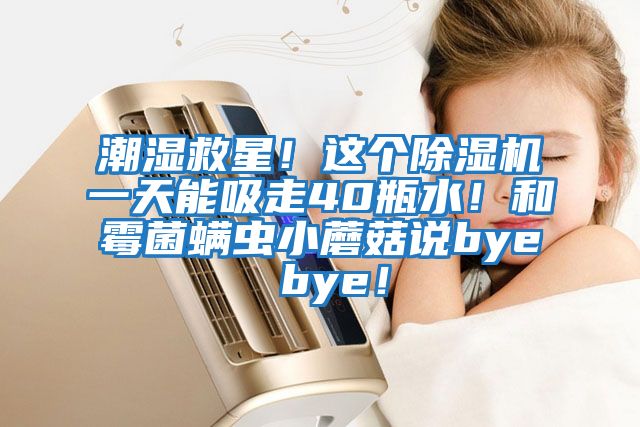 潮濕救星！這個除濕機一天能吸走40瓶水！和霉菌螨蟲小蘑菇說bye bye！