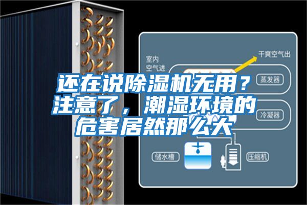 還在說(shuō)除濕機(jī)無(wú)用?注意了,潮濕環(huán)境的危害居然那么大