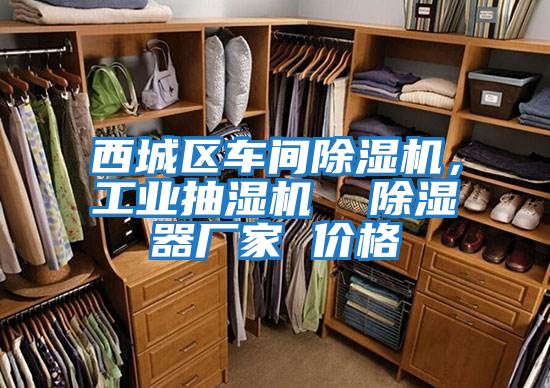 西城區(qū)車間除濕機,工業(yè)抽濕機 除濕器廠家 價格