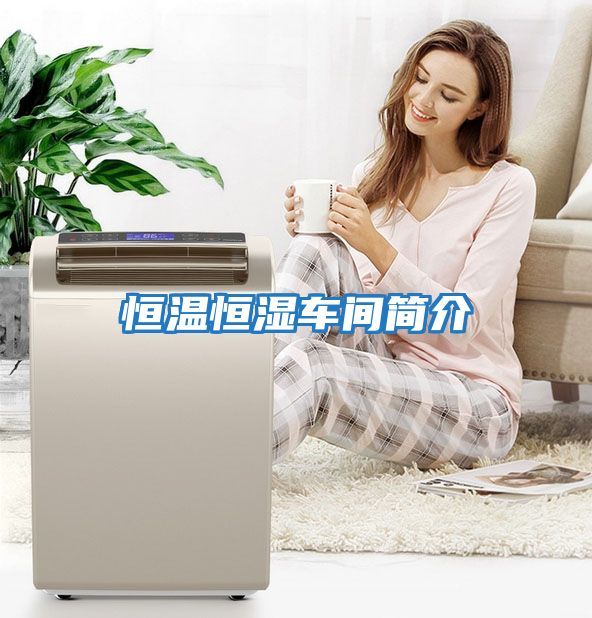 恒溫恒濕車間簡(jiǎn)介