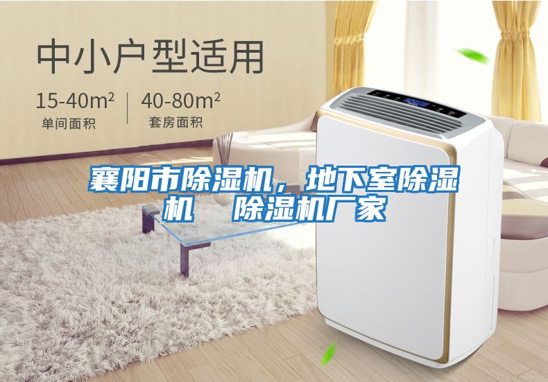 襄陽市除濕機(jī),地下室除濕機(jī) 除濕機(jī)廠家