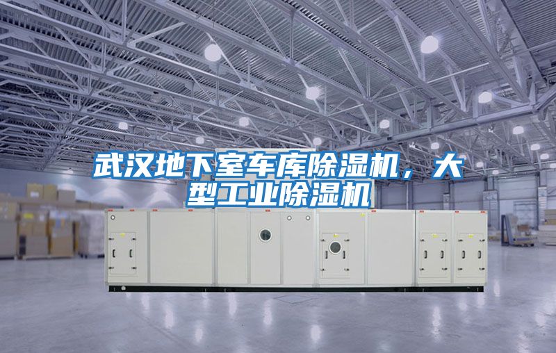 武漢地下室車(chē)庫(kù)除濕機(jī)，大型工業(yè)除濕機(jī)