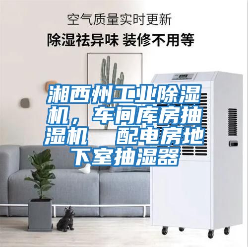 湘西州工業除濕機，車間庫房抽濕機  配電房地下室抽濕器