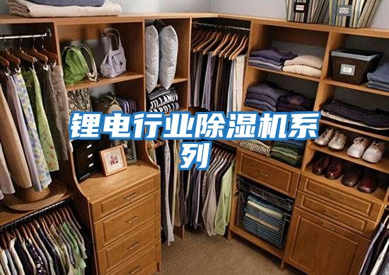鋰電行業除濕機系列