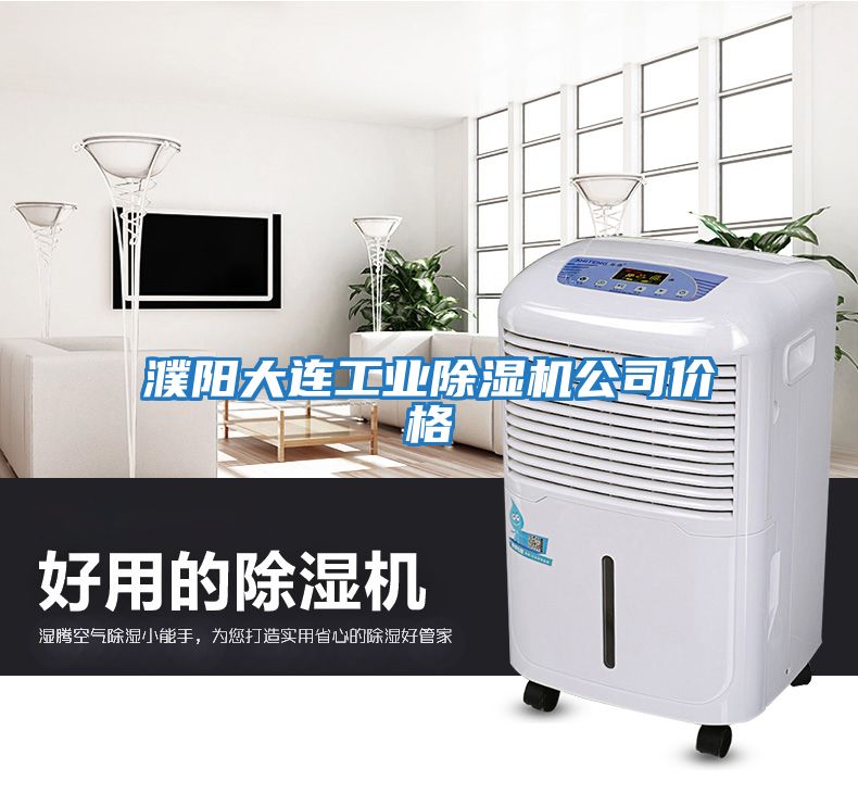 濮陽大連工業(yè)除濕機(jī)公司價(jià)格