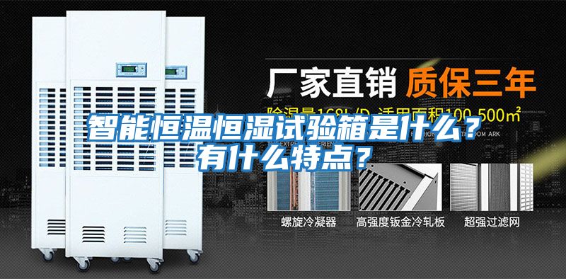 智能恒溫恒濕試驗箱是什么？有什么特點？
