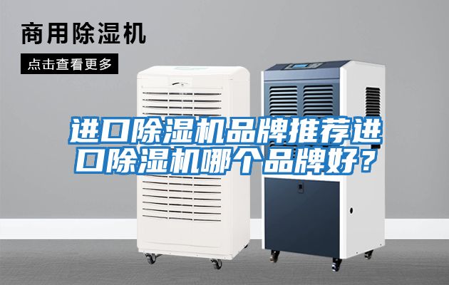 進(jìn)口除濕機(jī)品牌推薦進(jìn)口除濕機(jī)哪個(gè)品牌好？