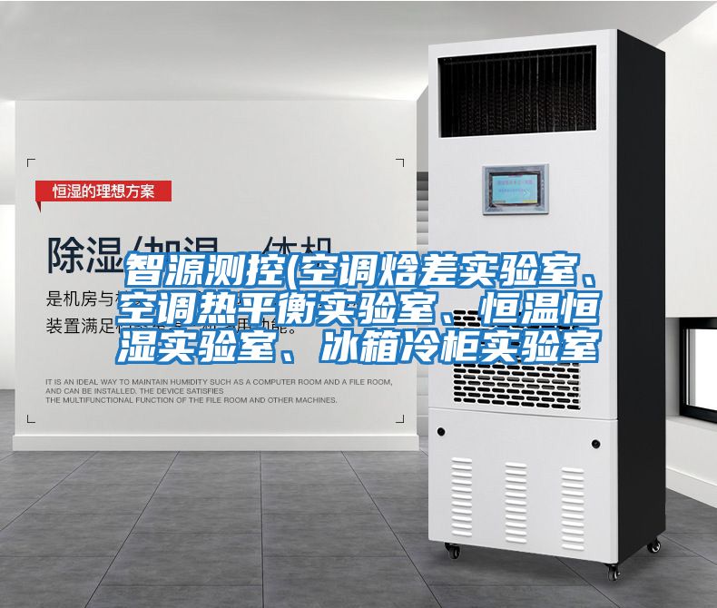 智源測控(空調(diào)焓差實驗室、空調(diào)熱平衡實驗室、恒溫恒濕實驗室、冰箱冷柜實驗室