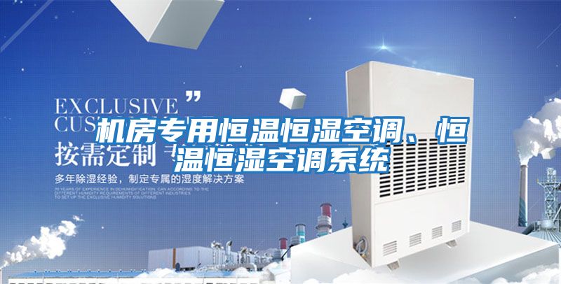 機(jī)房專用恒溫恒濕空調(diào)、恒溫恒濕空調(diào)系統(tǒng)