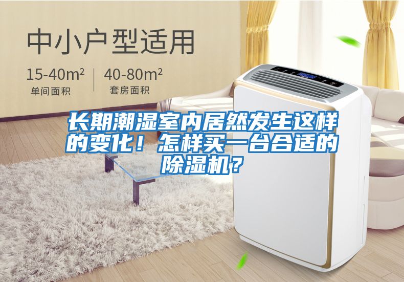 長期潮濕室內(nèi)居然發(fā)生這樣的變化！怎樣買一臺合適的除濕機？